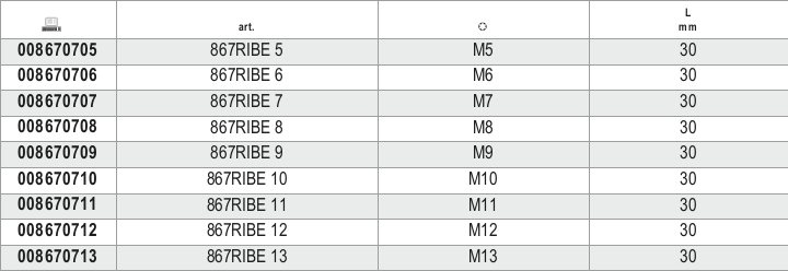 Tabella misure – Inserti per avvitatori per viti con impronta RIBE® Beta 867RIBE 8
