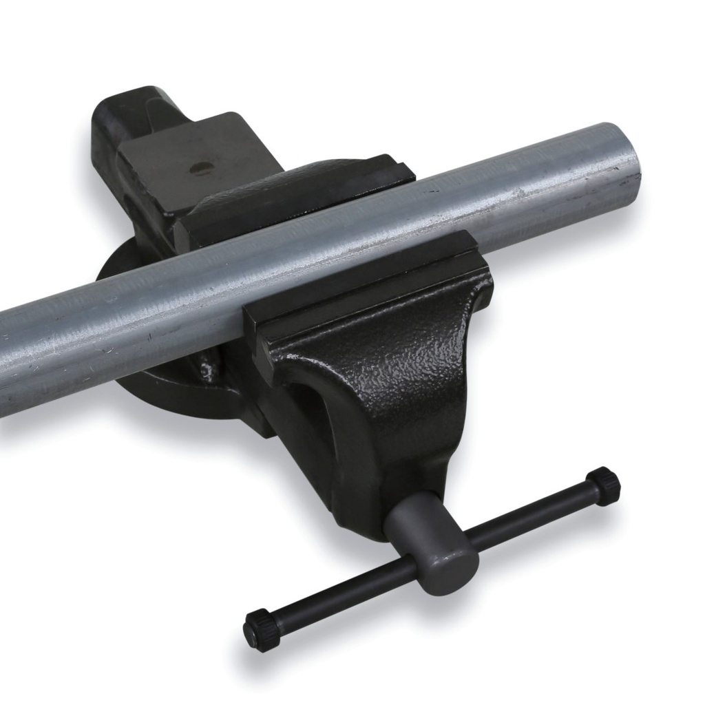 Morse parallele da banco con ganasce intercambiabili Beta 1599GI 175