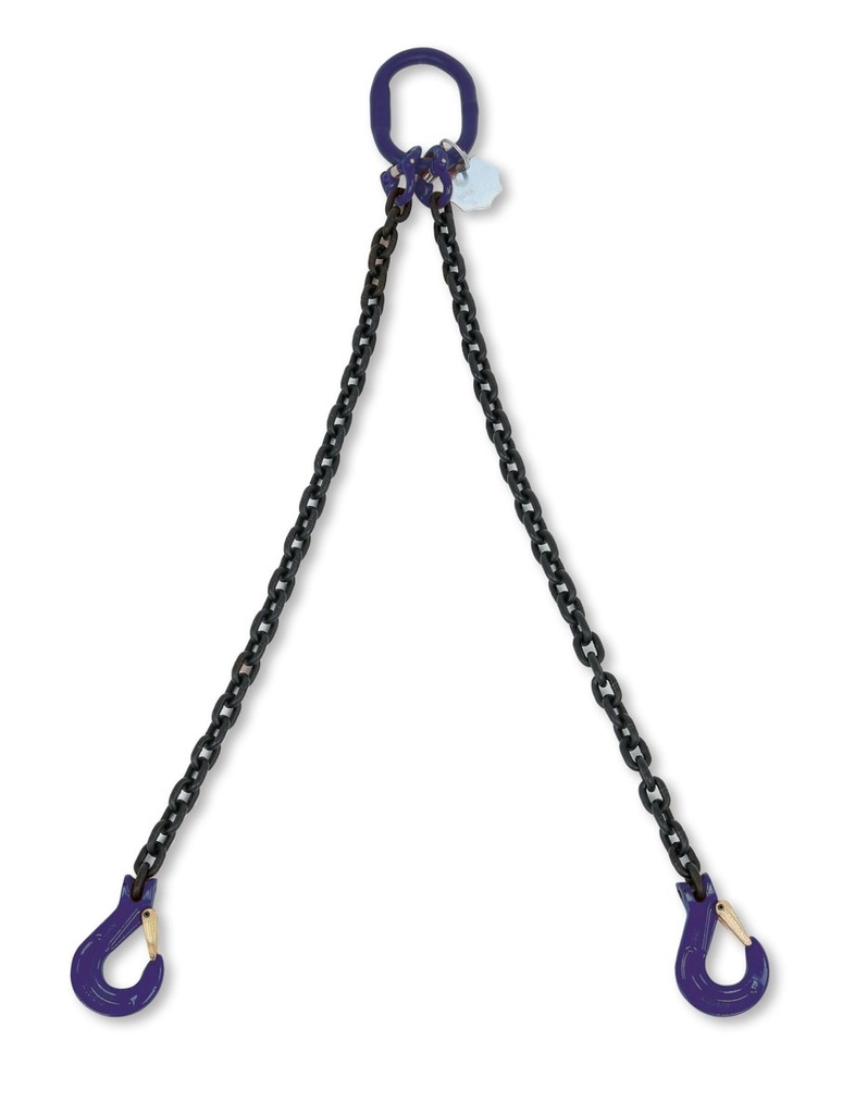 [080921041] Pendente per sollevamento catena a 2 bracci G10 Beta 8092/G10 D8-1