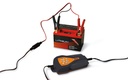 Caricabatterie elettronico 12V per motocicli Beta 1498/2A