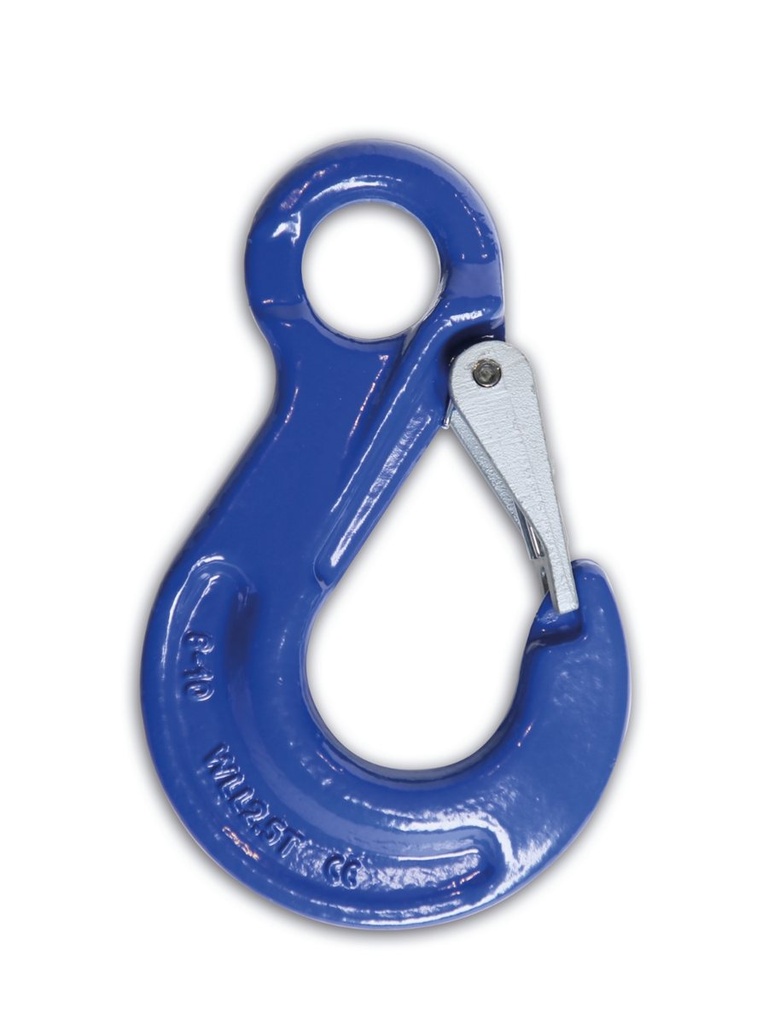 Ganci per sollevamento ad occhio, acciaio legato ad altissima resistenza grado 10 Beta 8052/G10 1,4